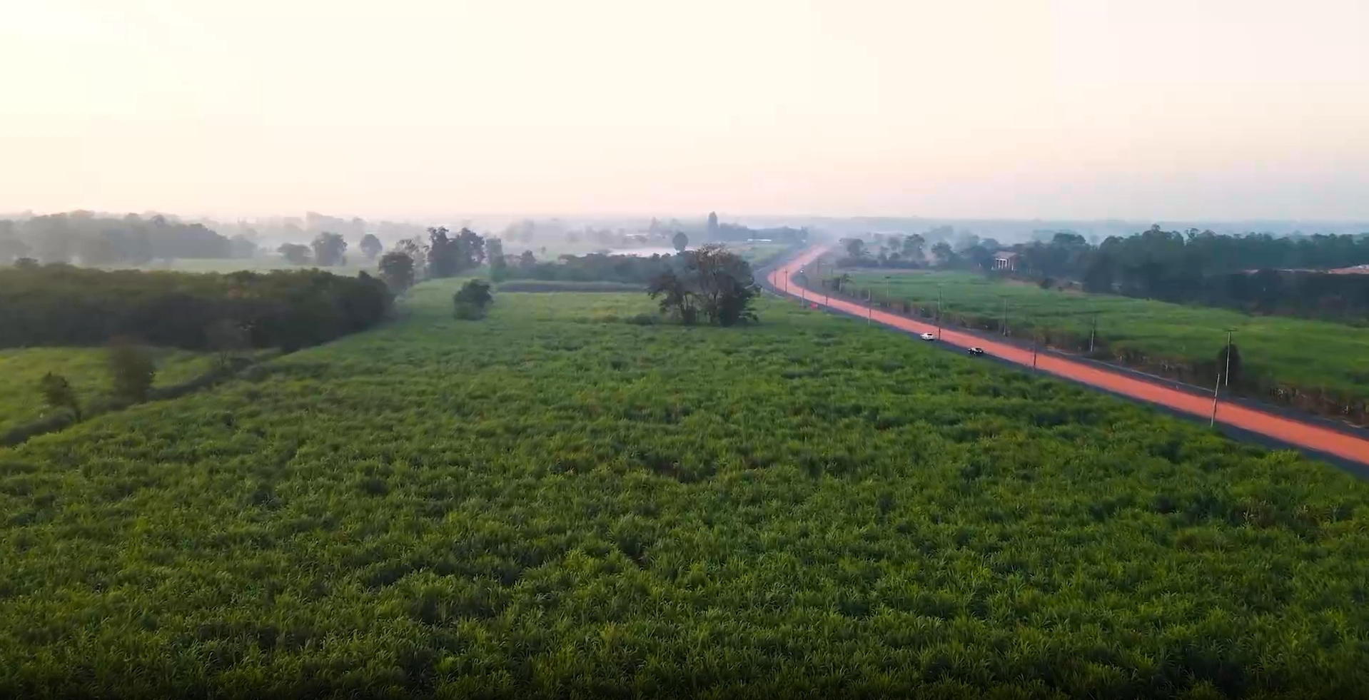 Sugarcane agricultural landscape in Buriram