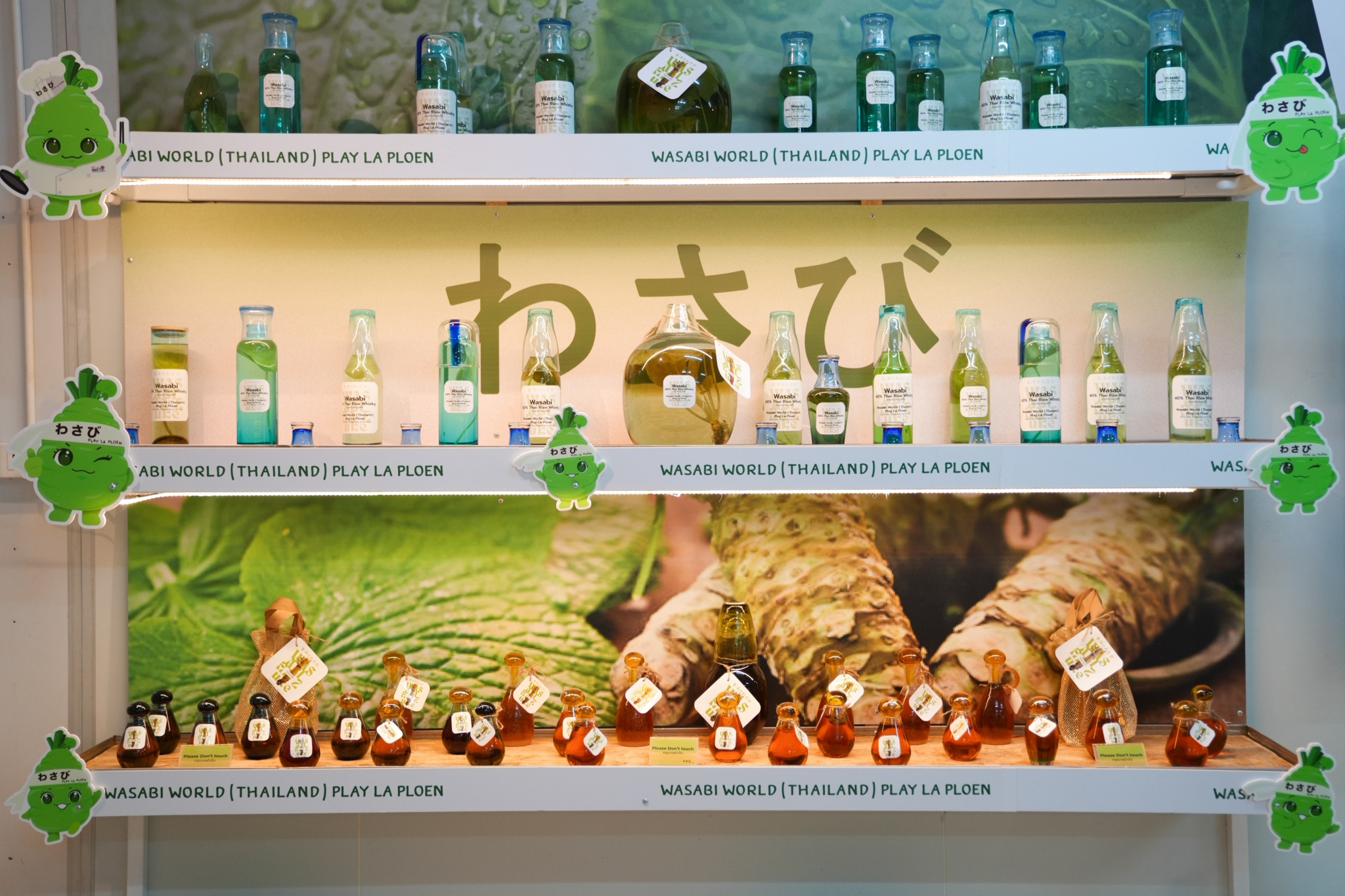Wasabi innovation display